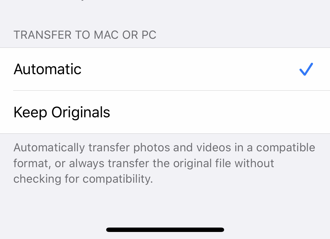 IMG_7249.PNG